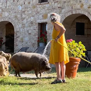 Sole Alloggio per agriturismo Trequanda